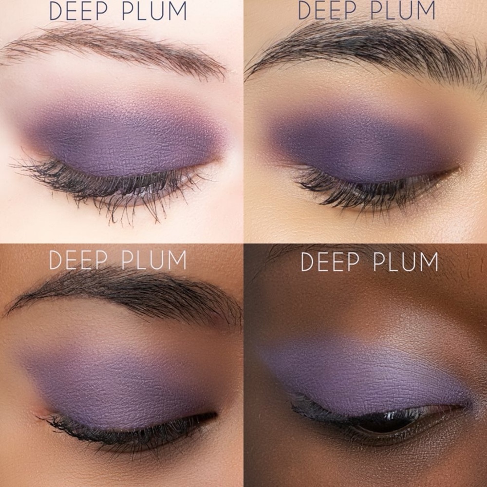Deep Plum Senegence ShadowSense.  Bundle for Savings